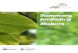 Summary for Policy Makers · 2020. 12. 4. · Summary for Policy Makers State of Europe’s Forests 2020 Prepared and published by: Ministerial Conference on the Protection of Forests