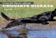 Crucial Facts about CRUCIATE DISEASECrucial Cruciate-PT3-.indd 23 7/16/20 1:55 PM. ... Heavy fat cover. Noticeable fat deposits over lumbar area and base of tail. Waist absent or barely