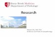 Research - Stony Brook School of Medicine - Homepage | … · 2020. 1. 7. · panc ortex cortex . Title: PowerPoint Presentation Author: Vince Yang Created Date: 2/24/2016 1:28:08