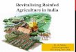 Revitalising Rainfed Agriculture in Indiamospi.nic.in/sites/default/files/cocsso/1_NITI_Aayog... · 2017. 5. 2. · Revitalize seed chain with focus on replacing varieties older than