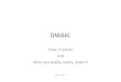 DNSSEC for ISIG · 2019. 9. 11. · DNSSEC How&itworks&& and& Why&you&really,&really,&need&it jay@nzrs.net.nz