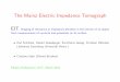 The Mainz Electric Impedance Tomograph EIT: Imaging of … · 2015. 10. 29. · The Mainz Electric Impedance Tomograph EIT: Imaging of resistance or impedance densities in the interior