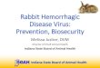 Rabbit Hemorrhagic Disease Virus: Prevention, Biosecurity•Quarantine new rabbits or rabbits returning to the colony •Control Disease Vectors • Remember non-susceptible animals