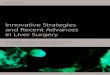 Innovative Strategies and Recent Advances in Liver Surgery · 2019. 8. 7. · HPB Surgery Innovative Strategies and Recent Advances in LiverSurgery Guest Editors: Andrea Lauterio,