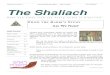 Volume 22 Issue 1 The Shaliach - ShulCloud€¦ · Mail addressed to the Rabbi, president, treasurer, or MALI is received and read within a reason-able amount of time. All other mail