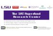 The LSU Superfund Research Center...The LSU Superfund Research Center Dr. Stephania Cormier, Center Director and Project 1 Lead Dr. Tammy Dugas, Project 2 Lead and Training Core Director