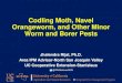 Codling Moth, Navel Orangeworm, and Other Minor Worm and … · 2019. 1. 24. · Codling Moth, Navel Orangeworm, and Other Minor Worm and Borer Pests Jhalendra Rijal, Ph.D. Area IPM