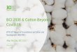 BCI 2030 & Cotton Beyond Covid-19 - World Trade Organization · 2020. 8. 5. · BCI is still looking to achieve market transformation We are looking at a more farmer centric approach