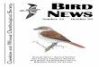 BIRD S NEWS rnithological · 2014. 10. 29. · NEWS Heswall Shore Ł Barred Warbler Dee Estuary Voluntary Wardens BTO Winter Farmland Bird Survey C Migration Watch ’99 Results heshire