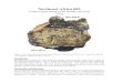 Northeast Africa 003 nea003.pdf · 2006. 11. 1. · 124 g Figure 1: Northeast Africa 003 illustrating lithology A (basalt) and B (breccia). Image from Haloda et al. (2006a). Width