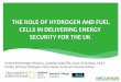 THE ROLE OF HYDROGEN AND FUEL CELLS IN DELIVERING ENERGY SECURITY FOR THE … · 2020. 6. 13. · Robert Steinberger-Wilckens, Jonathan Radcliffe, Naser Al-Mufachi, Paul E. Dodds,