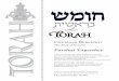 Vayeishev - Chabad.org · 2009. 10. 15. · The Book of Genesis Parshat Vayeishev A free excerpt from the Kehot Publication Society's new Chumash Breishis/Book of Genesis with commentary