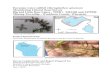 Eurasian water-milfoil (Myriophyllum spicatum Meandering ......Jul 01, 2016  · Spiny hornwort – an EWM “look-alike” on Big Bass Lake Survey Conducted by and Report Prepared