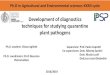 Development of diagnostics techniques for studying ......Development of diagnostics techniques for studying quarantine plant pathogens Ph.D. student: Chiara Aglietti 2016/2019 Supervisor: