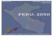 PERU: 2050 David_Peru2050.pdfINEI - Censos Nacionales de Población y Vivienda 1940,1961,1972,1981, 1993, 2007 Total Fertility Rate WDI online 2011 1960-2009 INEI - Encuesta Demográfica