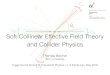 Soft-Collinear Effective Field Theory and Collider Physics · 2018. 11. 14. · Beneﬁts of EFTs • Simpliﬁcation: expansion in scale ratios simpliﬁes computations • Factorization