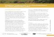 HABITAT CREATION and MANAGEMENT for POLLINATORS leaflet · 2020. 11. 17. · HABITAT CREATION FOR POLLINATORS Farmers can help bees by creating high quality habitats containing pollen