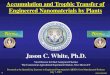 Jason C. White, Ph.D. - Home | nano.gov · 2020. 8. 25. · Gardea-Torresdey et al. Environ. Sci. Technol., 2014, 48 (5), pp 2526–2540 . Obj. 4: Nanomaterial interactions with co-existing