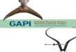 GAPI Global Aquaculture Performance Index · GAPI 2010 focuses solely on marine finfish aquaculture. Although this sector represents a modest portion of aquaculture production globally,