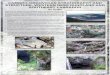 CAMBRO-ORDOVICIAN STRATIGRAPHY AND STRUCTURE, … › iet › files › mines-geoscience-publications-cambr… · CAMBRO-ORDOVICIAN STRATIGRAPHY AND STRUCTURE, WESTERN NEWFOUNDLAND
