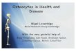 Osteocytes in Health and Diseaseucgatma/Anat3048/PAPERS etc...Osteocytes in Health and Disease Nigel Loveridge Bone Research Group Cambridge With the very grateful help of: Andy Pitsillides,