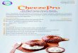 CheezePro - GoBia â€؛ assets â€؛ downloads â€؛ Dry Blend Cream Cheese Dry Blend Cream Cheese Spread
