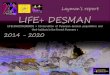 Layman’s report LIFE+ DESMAN · 2020. 6. 2. · Pyrenean Desman, who am I ? Latin name: Galemys pyrenaicus (E. Geoffroy Saint-Hilaire, 1811) Taxon: Mammals, Talpid Length: 23 to
