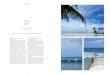 Play surf - WordPress.com · 2018. 1. 23. · Fanning Surf Lodge to include traditional kiekie huts, hammocks slung within sight of the wave, and fresh fish dinners served beachside