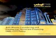 Anti-Money-Laundering and Countering Terrorism Financing … · 2019. 9. 22. · 11. Other forms of investing, managing, or regulating funds or cash on behalf of others. 12. Life
