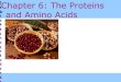 Co py rigChapter 6: The Proteins and Amino Acids › userdata › bazikyi › docs › 13 Editio… · The structure of proteins enables them to perform many vital functions Proteins