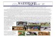 The $2500.00 SPORTPONY STAR SEARCH CHALLENGE CUP · 2015. 7. 27. · Warmblood News 1 Volume XVII, Issue 3 December 2006 The $2500.00 SPORTPONY STAR SEARCH CHALLENGE CUP For many