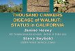 THOUSAND CANKERS DISEASE of WALNUT: STATUS in CALIFORNIAcaforestpestcouncil.org/wp-content/uploads/2010/02/hasey.pdf · 2020. 3. 23. · Near Rio Oso, Sutter Co., 88 yr Old . Juglans
