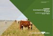 Home | Agriculture Victoria - Cattle Compensation Fund … · Web viewEach cattle carcass weighing up to and including 250kg attracts a duty of $0.90. Each carcass weighing more than