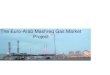 The Euro-Arab Mashreq Gas Market Project · 2018. 11. 5. · The Euro-Arab Mashreq Gas Market Project. oject Summary ... • Part of Dar Al Handasah Group • Part of the prestigious