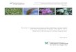 Severity of invasion by invasive plant indicators at ... · priority exotic plants considered invasive in the region, in order to determine whether the presence of one or more of