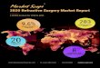 2020 Refractive Surgery Market Report · 2020. 12. 28. · 2020 Refractive Surgery Market Report $9,000 Printed Copy $250 ONE‐YEAR SUBSCRIPTION Ophthalmic Market Perspectives Newsletter