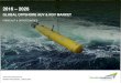 Global Offshore AUV & ROV Market Forecast 2026