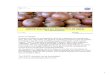 UNECE Standard for Onions FFV-25 (2003) · 2010. 10. 19. · 1 BLE P1000587 1 UNECE Standard for Onions FFV-25 (2003) Dr. Ulrike Bickelmann Photo: P1000587 Pursuant to article 2a