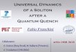 Universal Dynamics of a Soliton after a Quantum Quenchffranchi/presentations... · Universal Dynamics of a Soliton after a Quantum Quench Collaborators: A. Gromov (Stony Brook), M