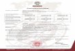 Bureau Veritas E&E Anhang zum Einheitenzertifikat Nr. U20-0249 Seite 2 von 22 E.5 Anforderungen an den Prüfbericht für Erzeugungseinheiten Auszug aus dem Prüfbericht zum Einheiten-Zertifikat