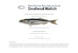 Antarctic Butterfish (Bluenose) - Ocean Wise · Zealand fisheries waters. (Under the New Zealand Quota Management System, allowable catches are partitioned into areas based on species
