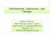 Inflammation, Depression, and Therapy · 2016. 2. 19. · Inflammation, Depression, and Therapy Robert Dantzer MD Anderson Cancer Center Department of Symptom Research Houston, TX