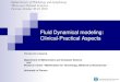 Fluid Dynamical modeling: Clinical-Practical Aspects · The mathematical modeling in biomechanics, particularly in vascular hemodynamics, reveals, in our opinion, to be a valuable