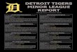 DETROIT TIGERS MINOR LEAGUE REPORT - MLB.com€¦ · Yesterday’s Score: L, 6-5 at Richmond Streak/Last 10: L3/4-6 Next Game: 7/7 at Harrisburg, 7 p.m. Yesterday’s Recap:Double