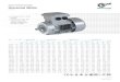 NORD DRIVESYSTEMS Universal Motor · 2020. 12. 8. · More information: Headquarters: Getriebebau NORD GmbH & Co. KG Getriebebau-Nord-Str. 1 22941 Bargteheide, Germany T +49 4532