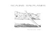 SCALING SAILPLANES - Scale Soaring · 2018. 10. 17. · Originally published as a part of Sailplanes!, a book by Ferdinando Galè and Aldo Calza B2Streamlines P.O. Box 975 Olalla