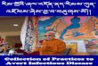 Hayagriva Buddhist Centre | Affiliated with FPMT - Collection ... ... Lord of the teachings and beings