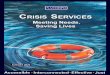 Crisis Services: Meeting Needs, Saving Livesand in 2019, called for an exploration of nine areas as examples ... Crisis Services: Meeting Needs, Saving Lives (August 2020) 8 . The