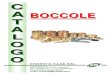 C A BOCCOLE T A L O G O · 2016. 5. 17. · ERNESTO RAAB SRL Surface roughness ISO tolerances Surface roughness Ra Rt Rz RMS Surface AA and mm 0,039 in in 25,400 mm mm 0 00004 in