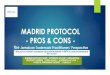 MADRID PROTOCOL - PROS & CONS...MADRID PROTOCOL –Pros & ConsAdvantages There is broad consensus on the main advantages of the Madrid Protocol. In a nutshell, the Protocol offers